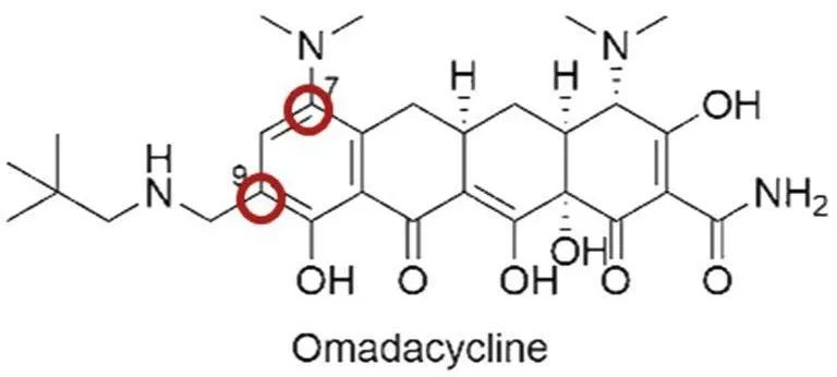 Omadacycline Tosylate