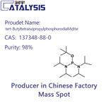 tert-ButyltetraisopropylphosphorodiaMidite