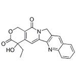 (+)-Camptothecin