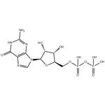 GUANOSINE 5'-DIPHOSPHATE