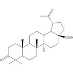 Betulonicacid