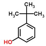 3-tert-Butylphenol