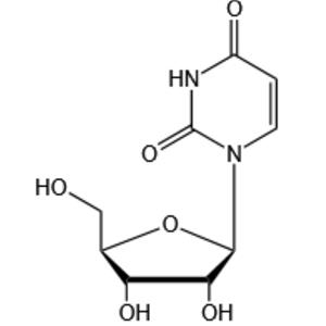 Uridine（UR）