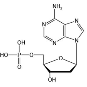 2'-Deoxyadenosine-5'-monophosphate(dAMP) 