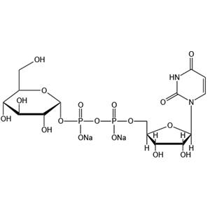 Uridine 5'-diphosphoglucose disodium salt (UDP-G-Na2)