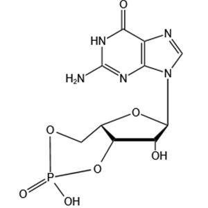 Guanosine 3', 5'-cyclic-monophosphate (сGMP)