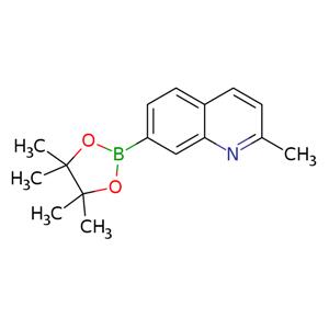 2-Methylquinoline-7-boronic acid pinacol ester