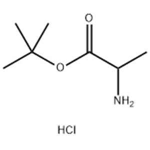 DL-Ala-Otbu.Hcl