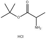 DL-Ala-Otbu.Hcl