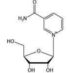 Nicotinamide riboside chloride（NR）