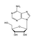 Adenosine