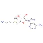 {[(2S,3S,4R,5R)-5-(6-amino-9H-purin-9-yl)-3,4-dihydroxyoxolan-2-yl]methyl}(3-aminopropyl)methylsulfanium