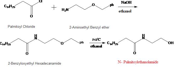 Flow Chart of Palmidrol 2