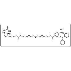 Phosphine-biotin