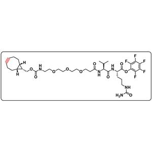 endo BCN-PEG3-VC-PFP Ester