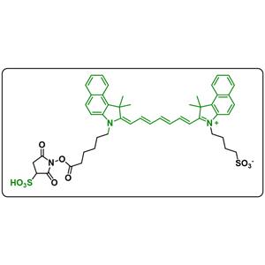 ICG-Sulfo-NHS