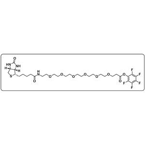 Biotin-PEG6-PFP