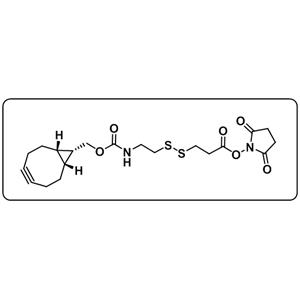 endo-BCN-SS-NHS ester