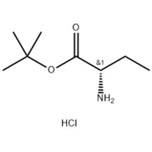 2-Abu-Otbu.HCl