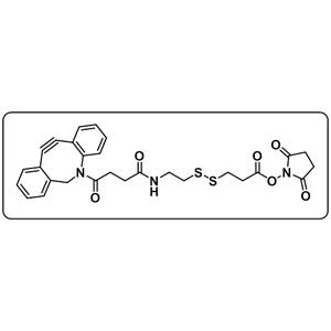 DBCO-CONH-S-S-NHS ester