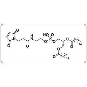 DPPE-Maleimide