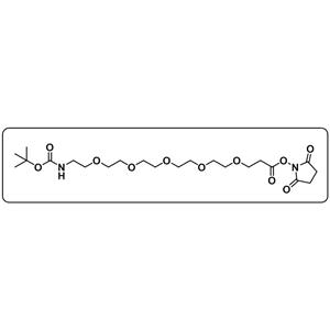 t-Boc-N-amido-PEG5-NHS ester