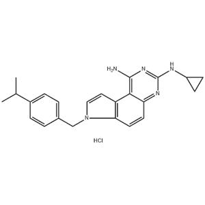 	7H-Pyrrolo[3,2-f]quinazoline-1,3-diaMine, N3-cyclopropyl-7-[[4-(1-Methylethyl)phenyl]Methyl]