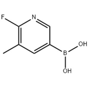 2-FLUORO-3-METHYLPYRIDINE-5-BORONIC ACID