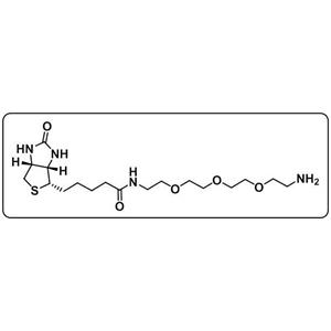 Biotin-PEG3-amine