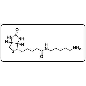 Biotin-C5-amine