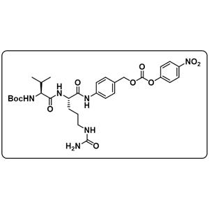 Boc-Val-Cit-PAB-PNP