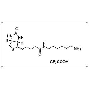 1H-Thieno[3,4-d]imidazole-4-pentanamide；N-(6-aminohexyl)hexahydro-2-oxo-；2,2,2-trifluoroacetate (1:1)