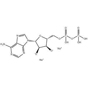 Adenosine-5'-diphosphate disodium salt