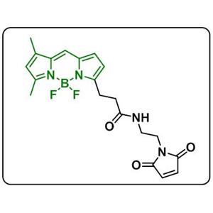 BDP FL maleimide