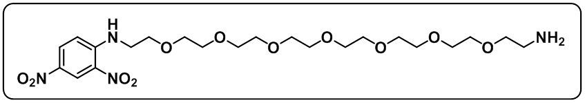 DNP-PEG7-NH2