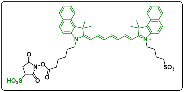 ICG-Sulfo-NHS