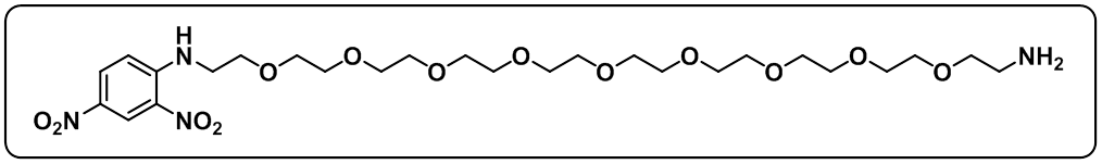 DNP-PEG9-NH2