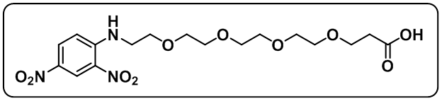 DNP-PEG4-COOH