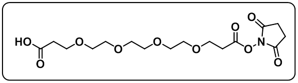 Acid-PEG4-NHS ester