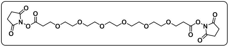 Bis-PEG6-NHS ester