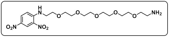 DNP-PEG5-NH2