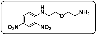 DNP-PEG1-NH2