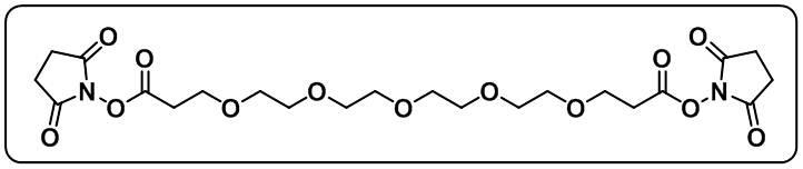 Bis-PEG5-NHS ester