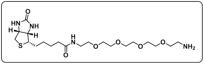 Biotin-PEG4-amine