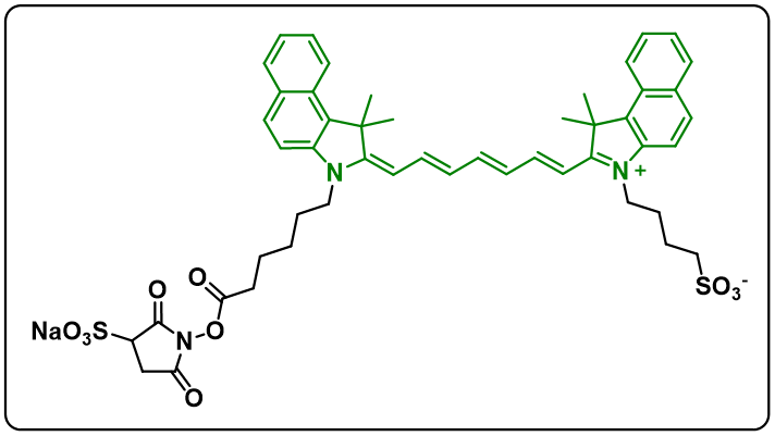 ICG-Sulfo-OSu sodiu