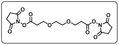 Bis-PEG2-NHS ester