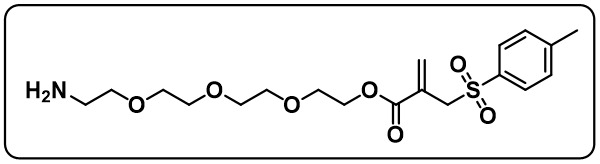 NH2-PEG4-IC