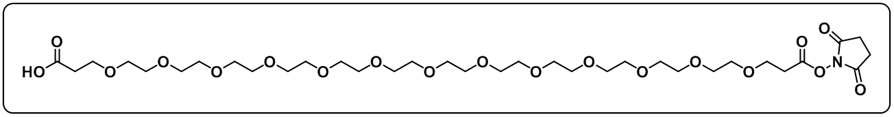 Acid-PEG13-NHS ester