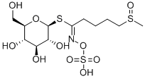 GLUCORAPHANIN