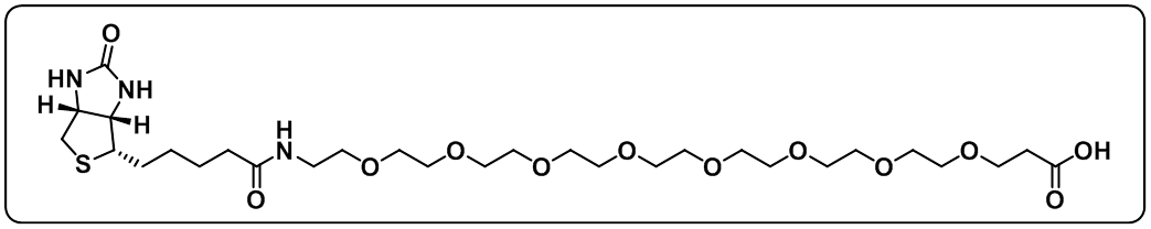 Biotin-PEG8-COOH